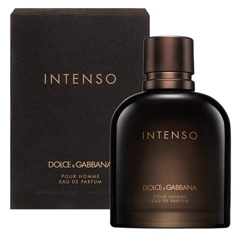 dolce gabbana intense men's